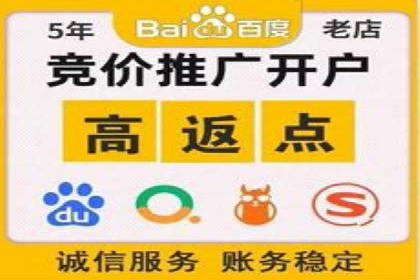 SEM主管实战：数据分析与策略调整